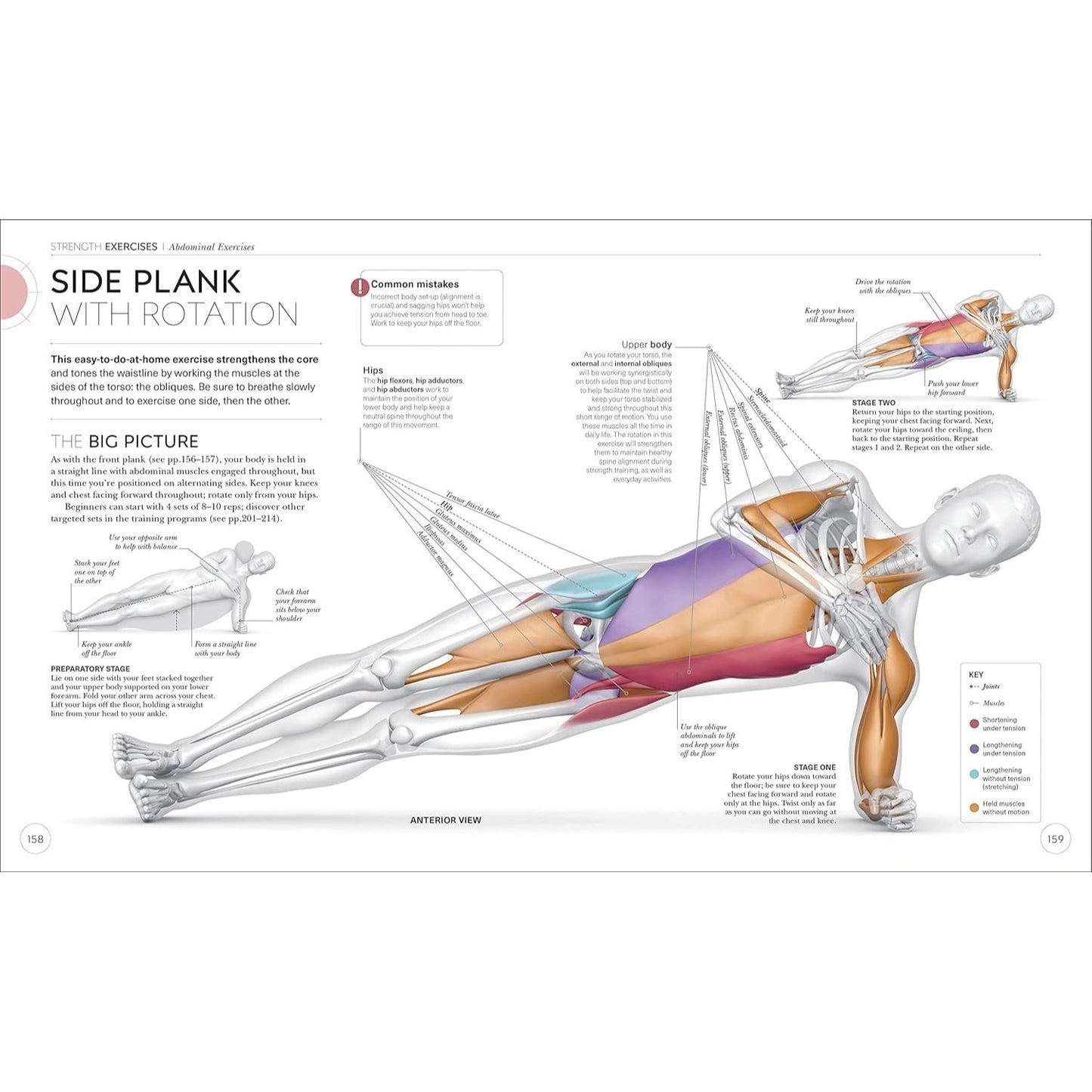 Science of Strength Training: Understand the Anatomy and Physiology to Transform Your Body (Spiral Bound)