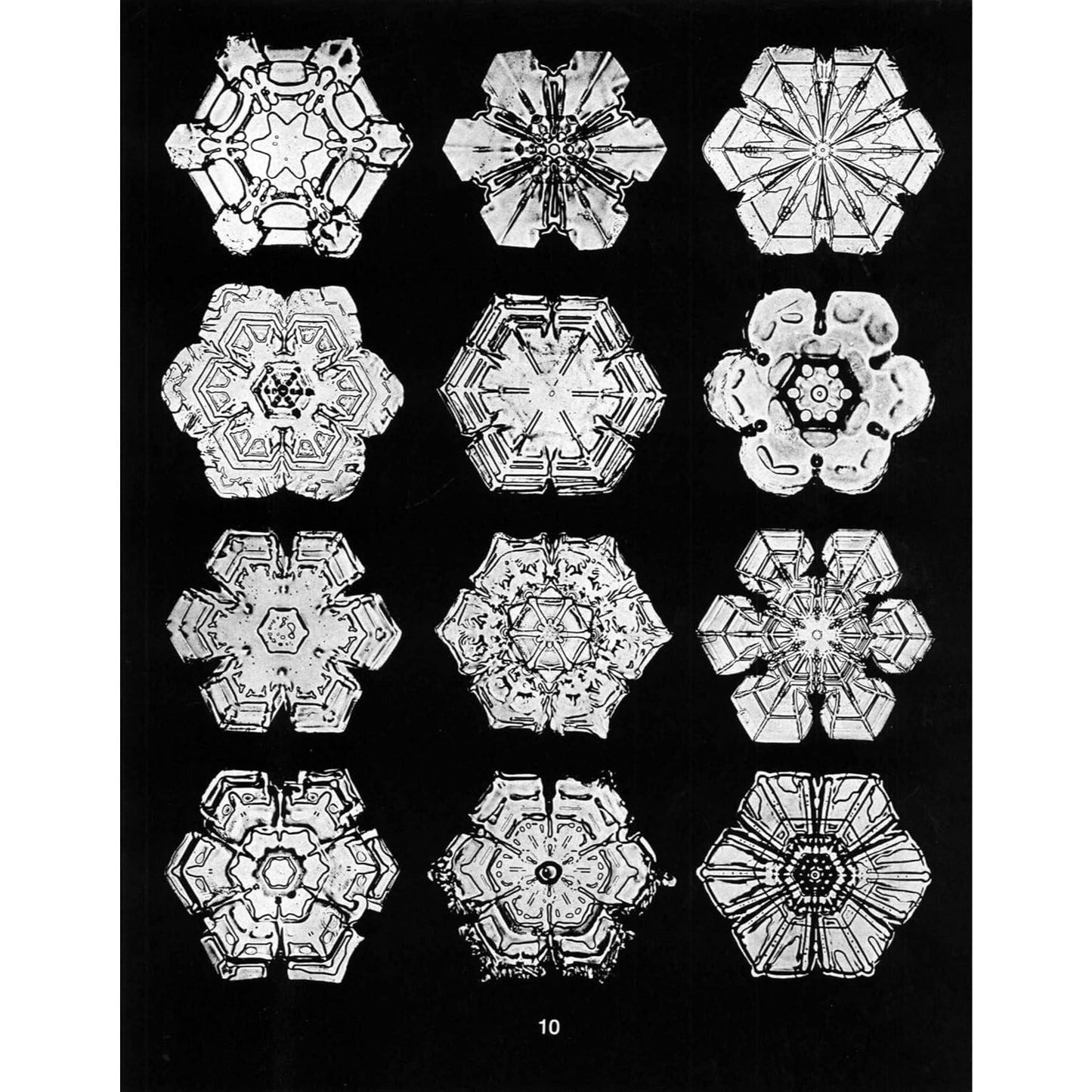 Snowflakes in Photographs