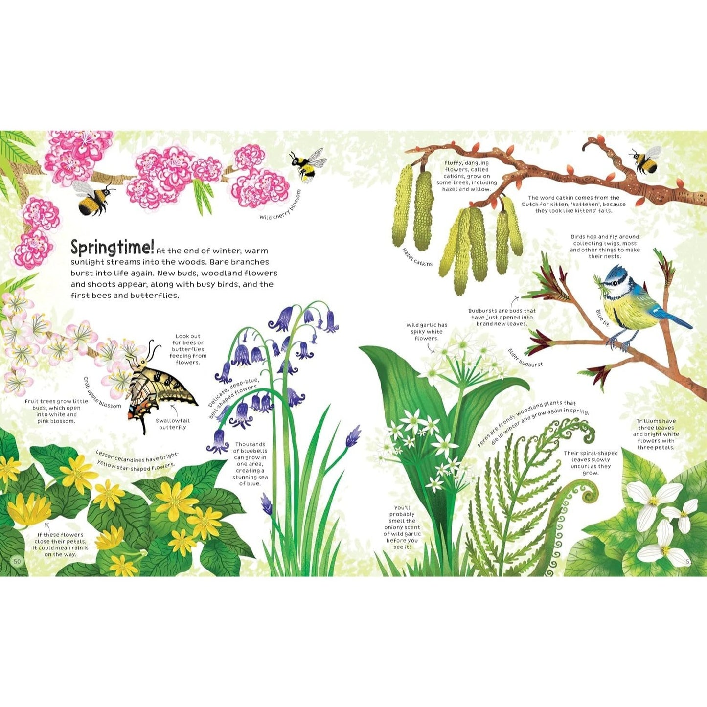The Woodland Book