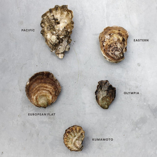 Oysters: Recipes with the Fresh Taste of the Sea (a Seafood Cookbook)