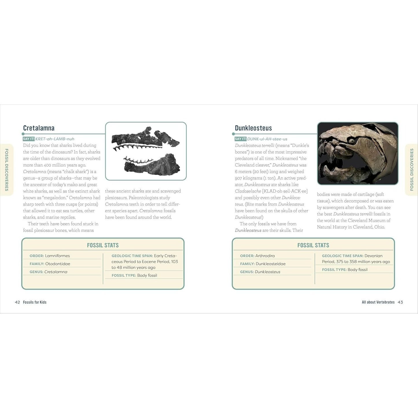 Fossils for Kids: A Junior Scientist's Guide to Dinosaur Bones, Ancient Animals, and Prehistoric Life on Earth