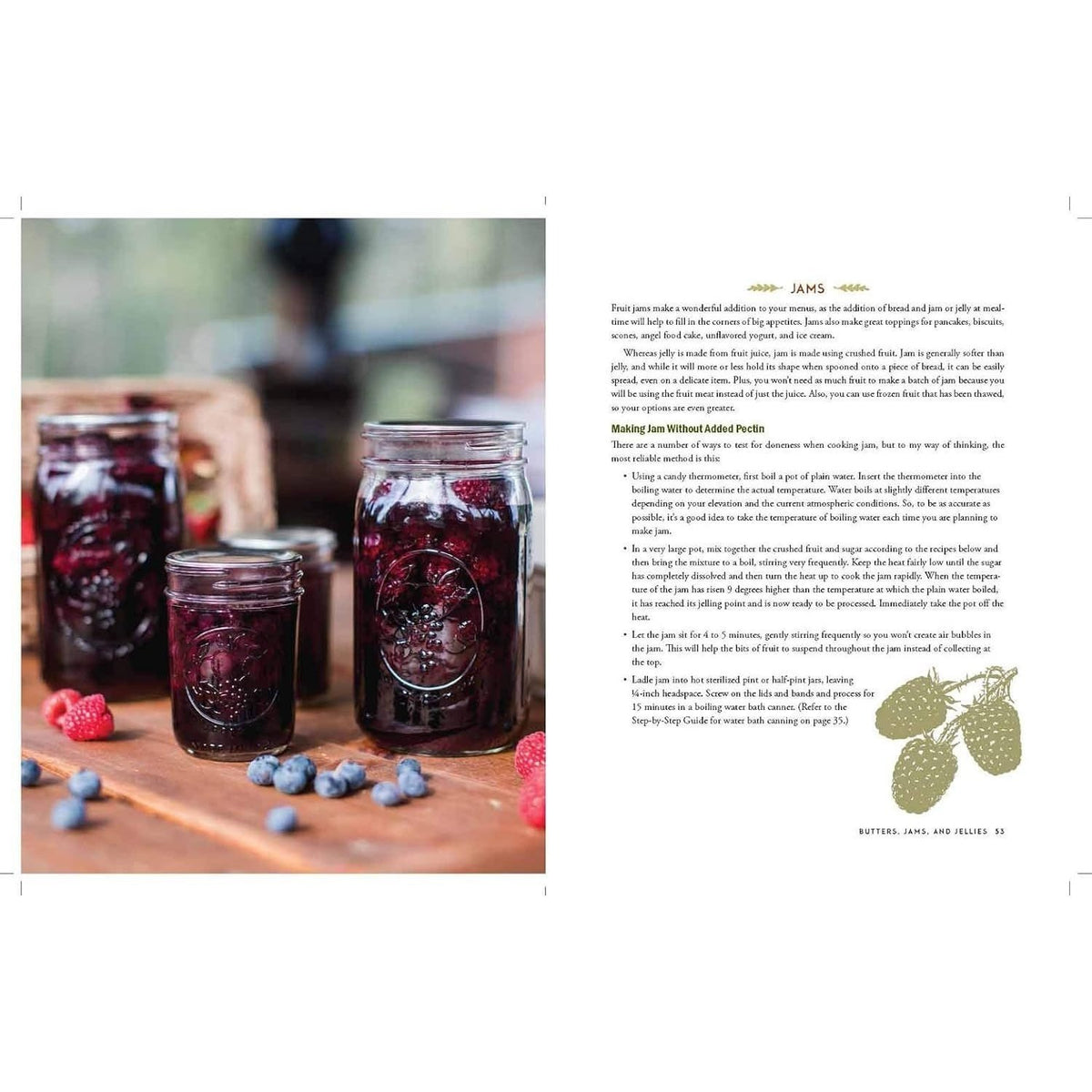 The Homestead Canning Cookbook: -Simple, Safe Instructions from a Certified Master Food Preserver -Over 150 Delicious, Homemade Recipes -Practical Help to