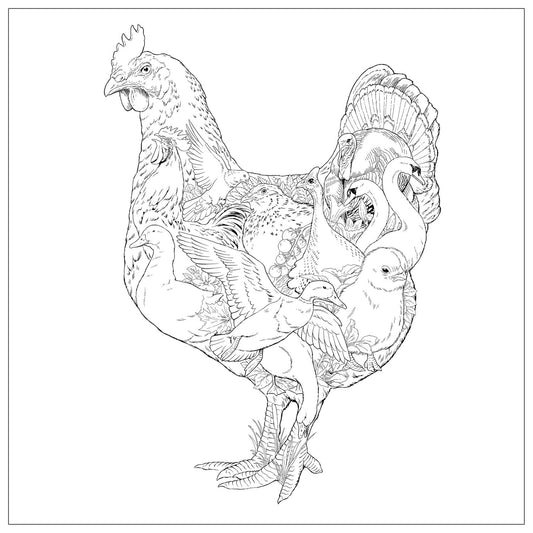 Imaginaria: In the Garden: An Artist's Coloring Book of Birds and Flowers Inside the Lines