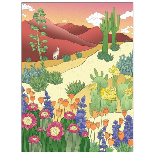 Creative Haven Wildflowers Coloring Book