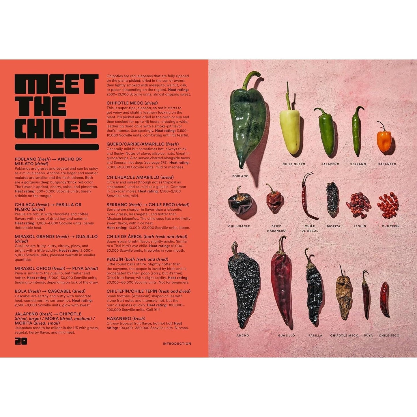 Salsa Daddy: A Cookbook: Dip Your Way Into Mexican Cooking