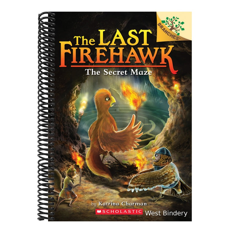 The Secret Maze: A Branches Book (the Last Firehawk #10): Volume 10