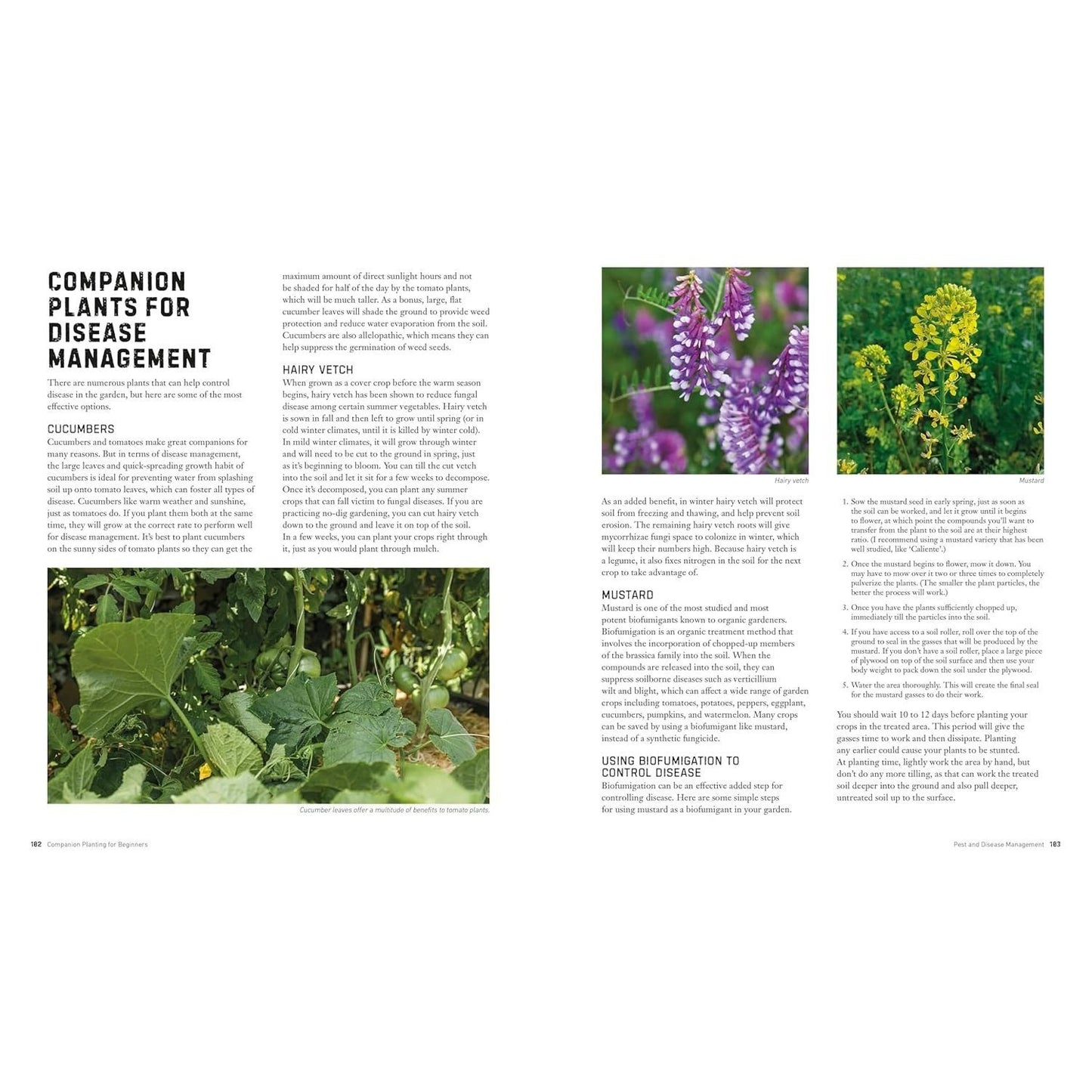 Companion Planting for Beginners: Pair Your Plants for a Bountiful, Chemical-Free Vegetable Garden (Spiral Bound)