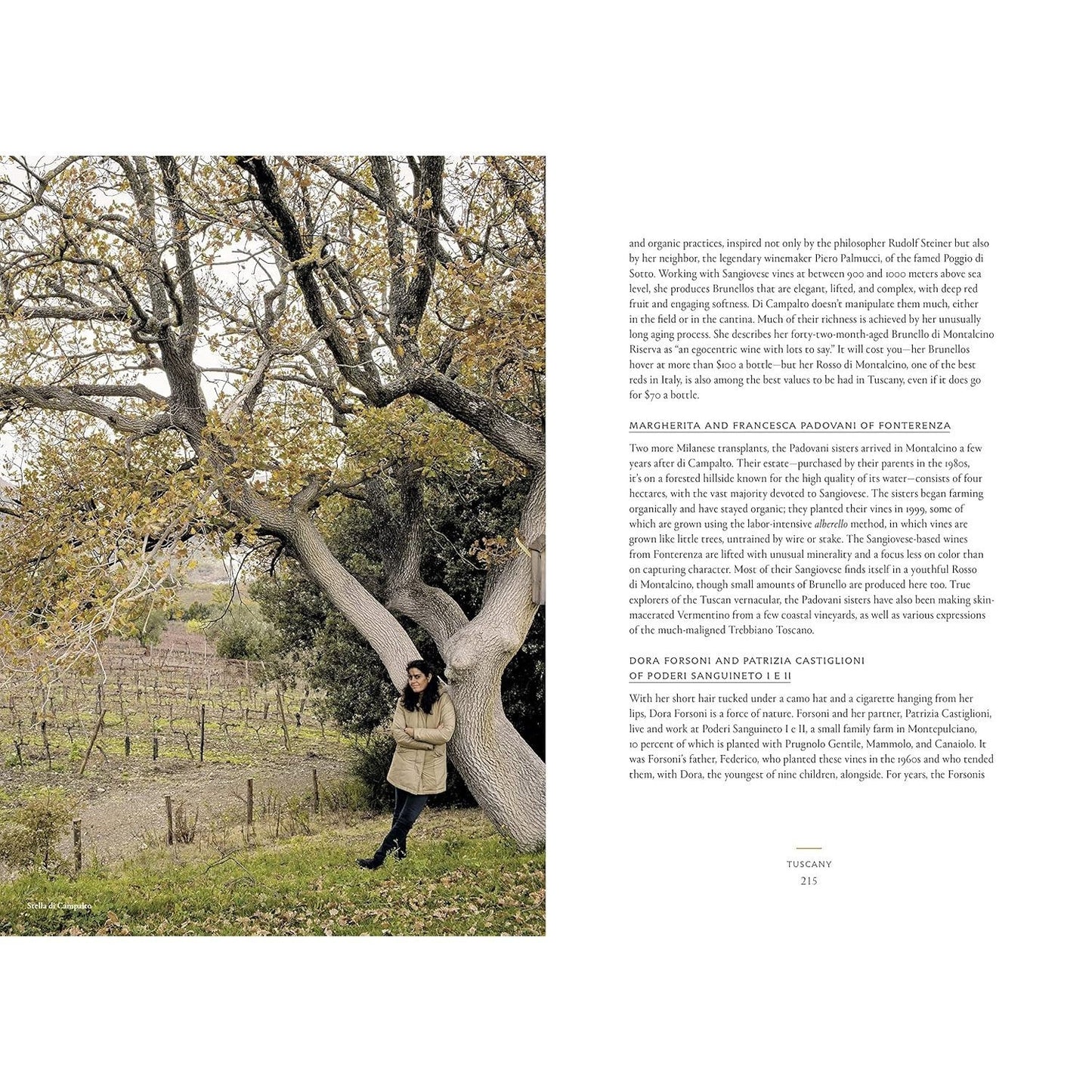 Vino: The Essential Guide to Real Italian Wine