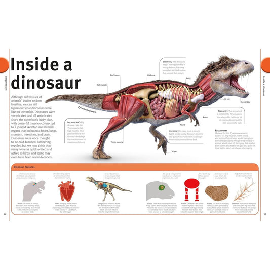 Our World in Pictures the Dinosaur Book (DK Our World in Pictures) (Spiral Bound)