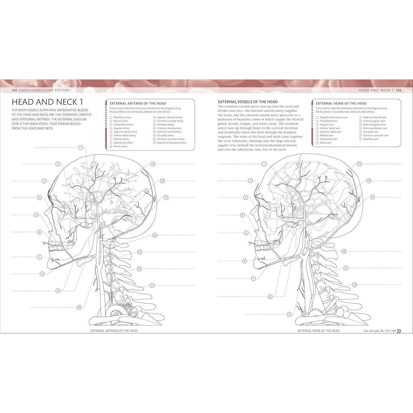 The Human Body Coloring Book: The Ultimate Anatomy Study Guide, Second Edition (DK Human Body Guides)