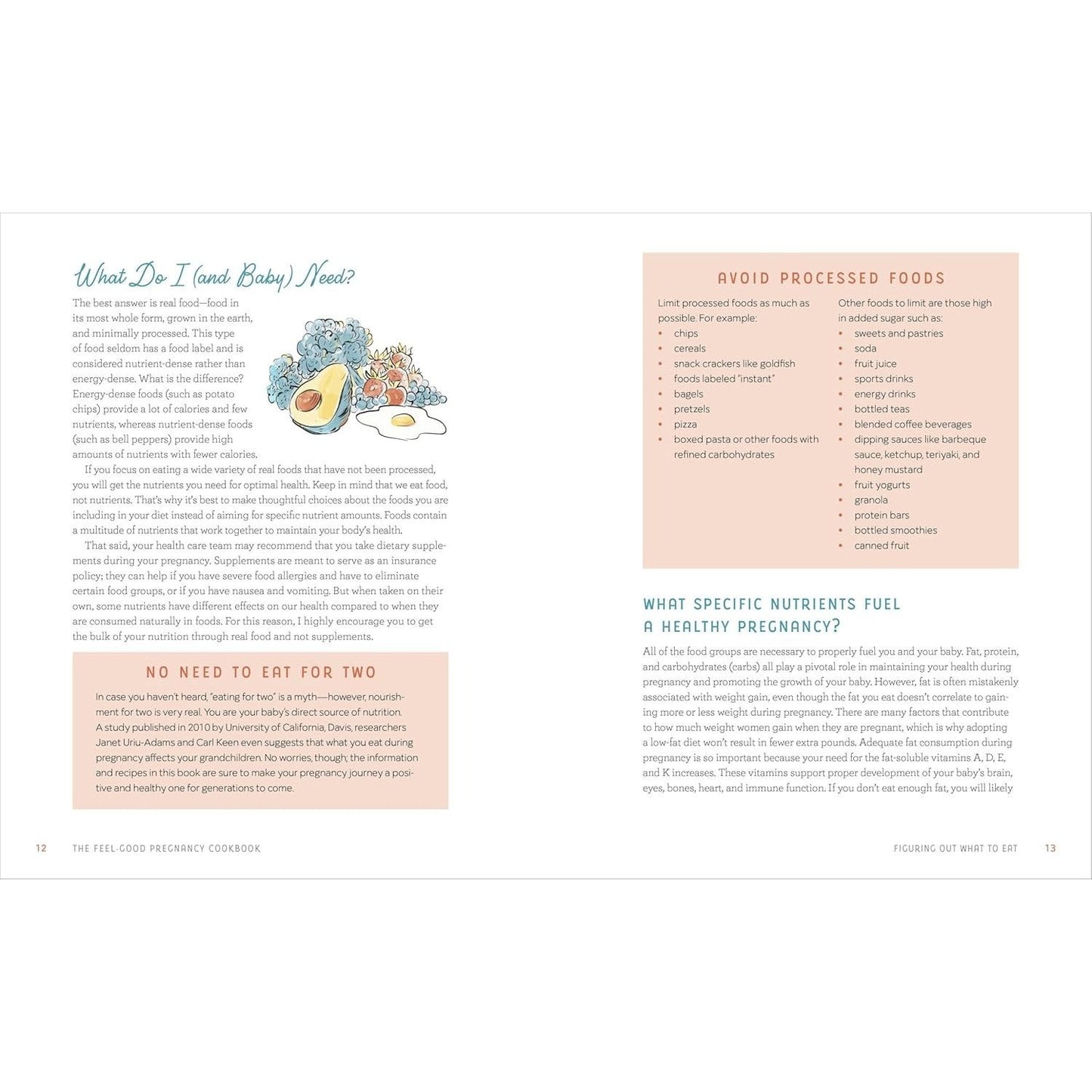 The Feel-Good Pregnancy Cookbook: 100 Nutritious and Delicious Recipes for a Healthy 9 Months and Beyond (Spiral Bound)