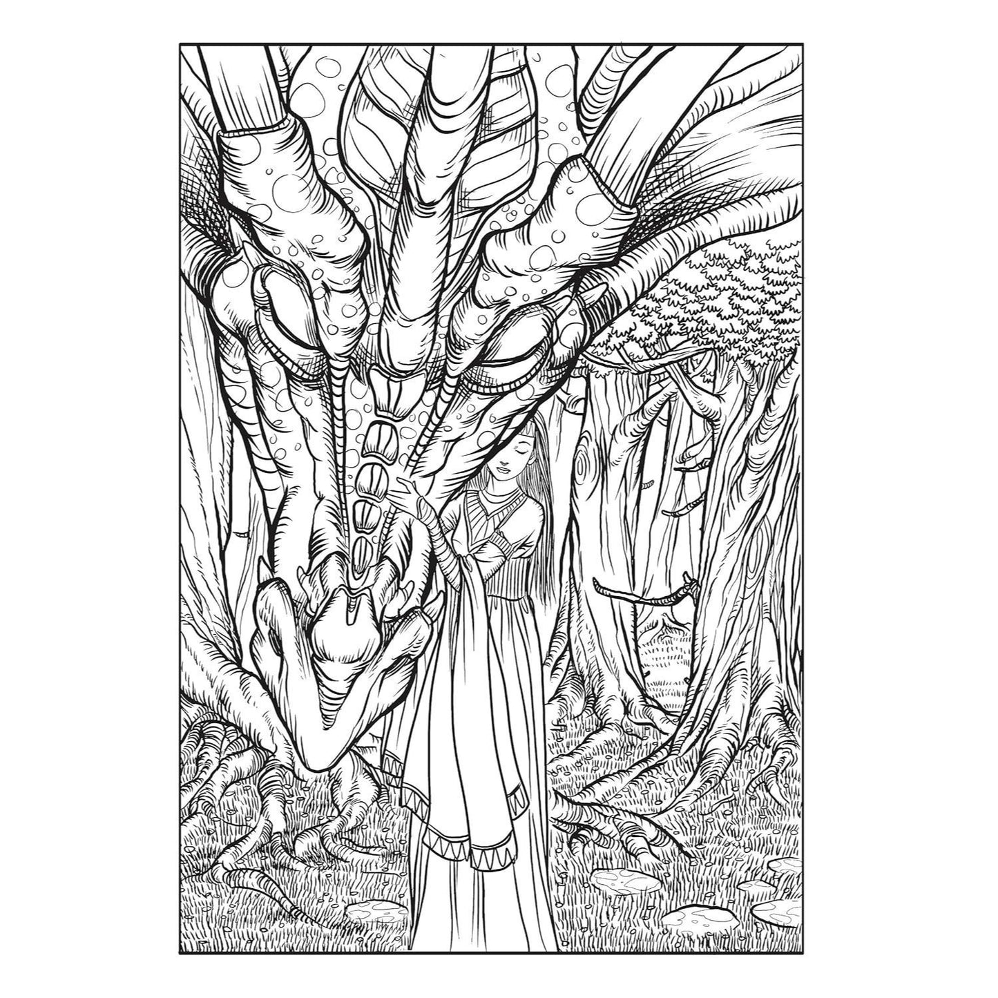 Creative Haven Fantastical Dragons Coloring Book