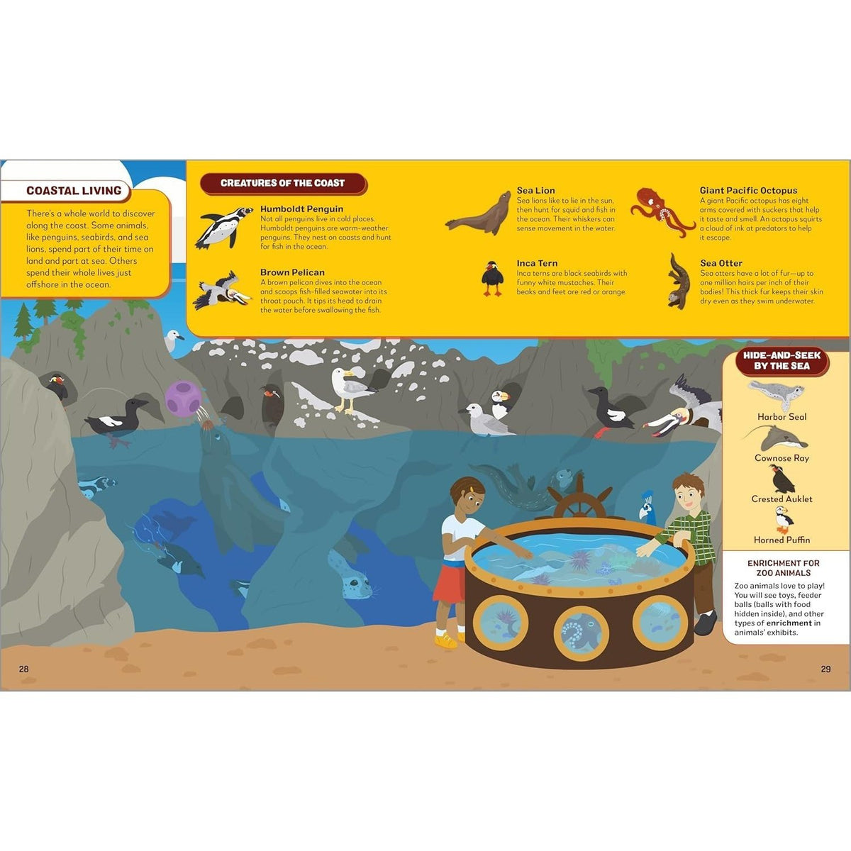 Search the Zoo, Find the Animals