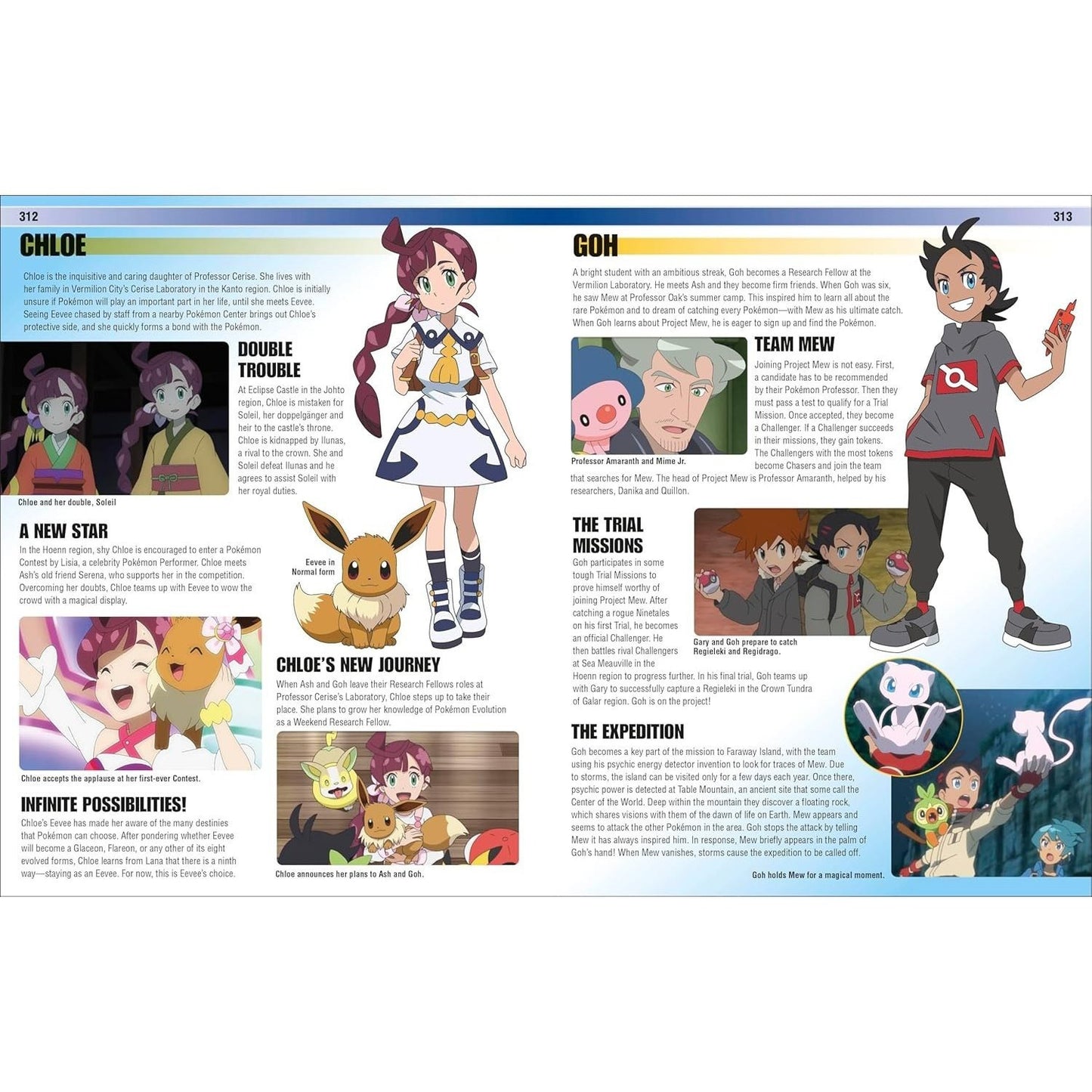 Pokémon Visual Companion Fifth Edition