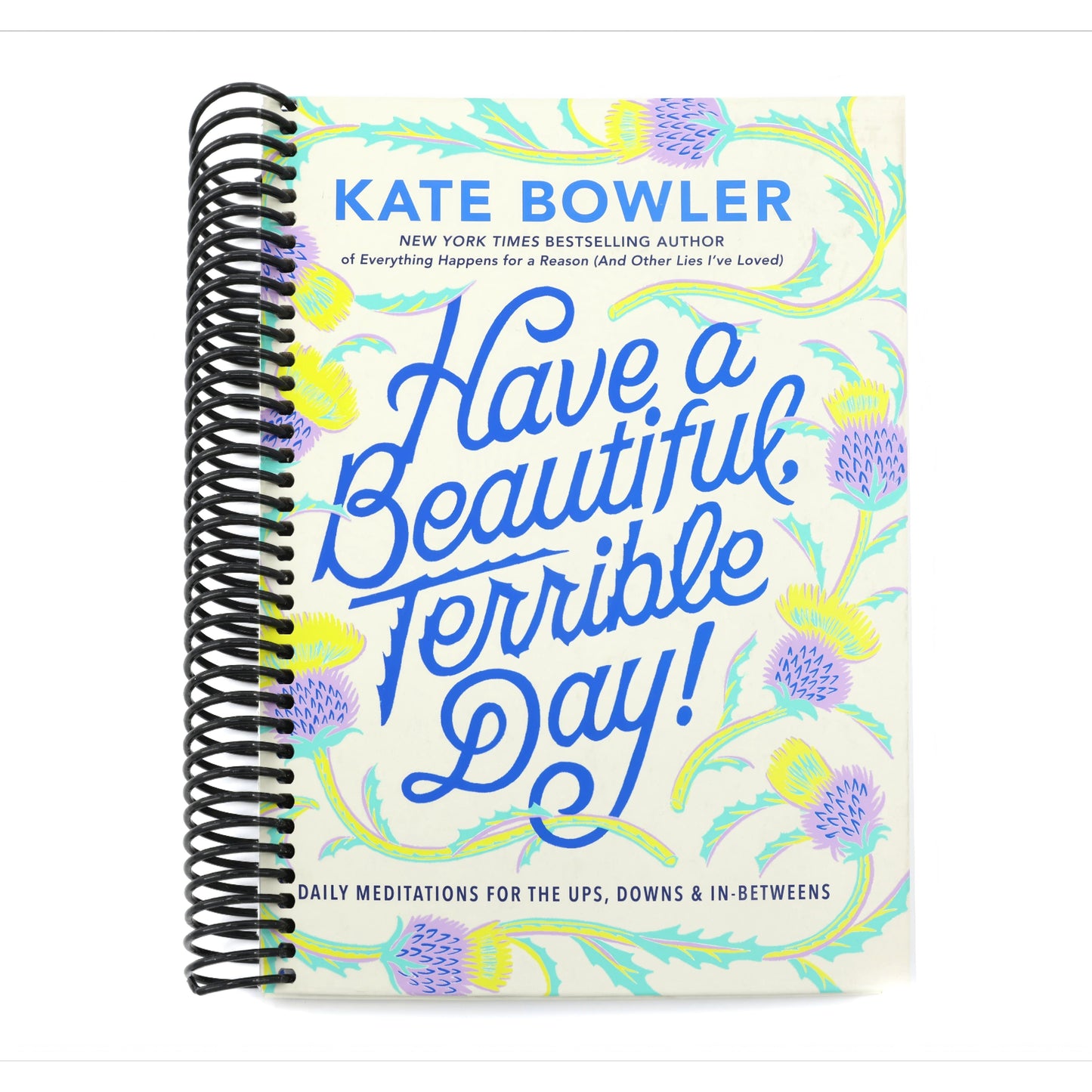 Have a Beautiful, Terrible Day!: Daily Meditations for the Ups, Downs & In-Betweens