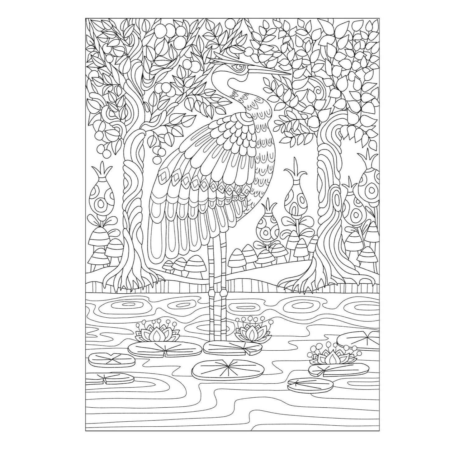 Creative Haven Fanciful Birds Coloring Book