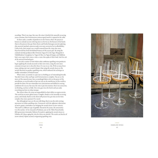 Vino: The Essential Guide to Real Italian Wine