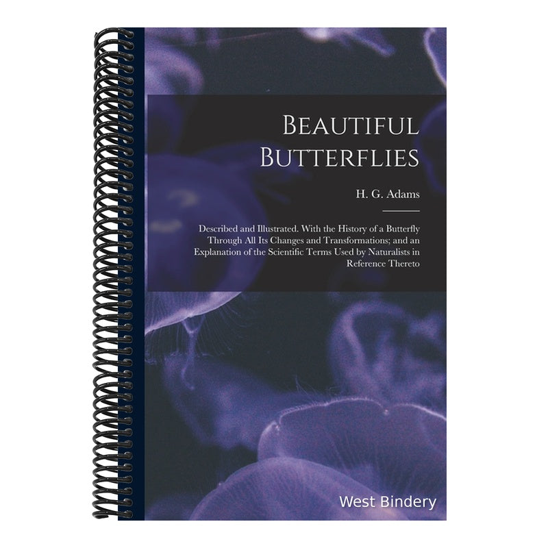 Beautiful Butterflies: Described and Illustrated. With the History of a Butterfly Through All Its Changes and Transformations; and an Explana