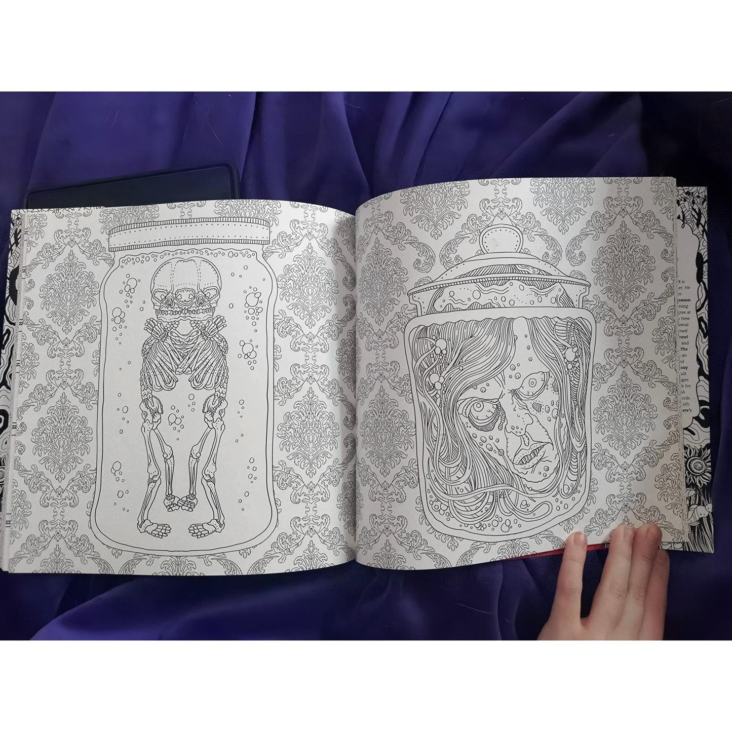 The Beauty of Horror 1: A Goregeous Coloring Book (Spiral Bound)