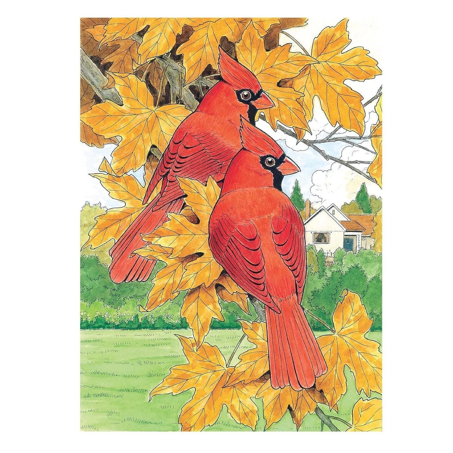 Creative Haven Glorious Songbirds Coloring Book