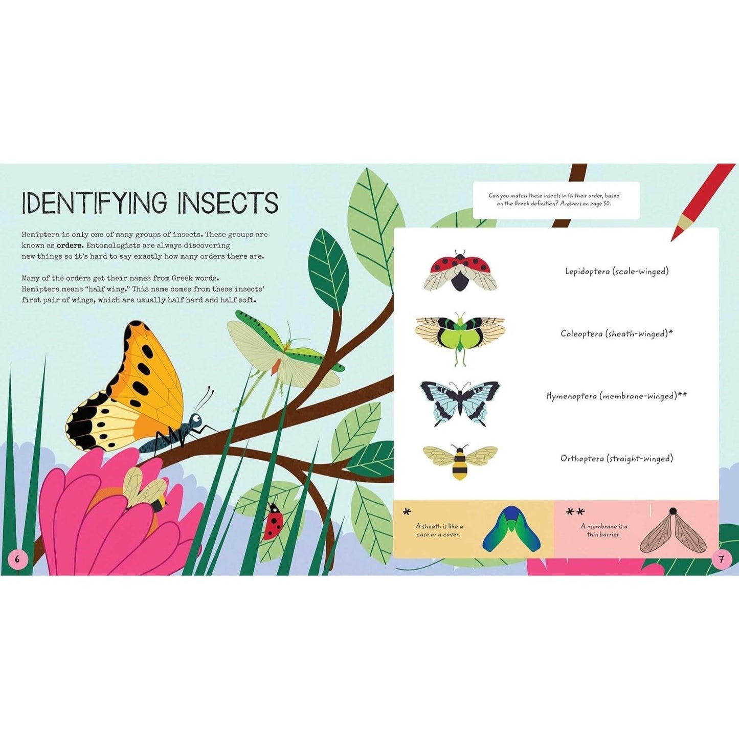 Stem Starters for Kids Insects Activity Book: Activites about Bugs and Entomology