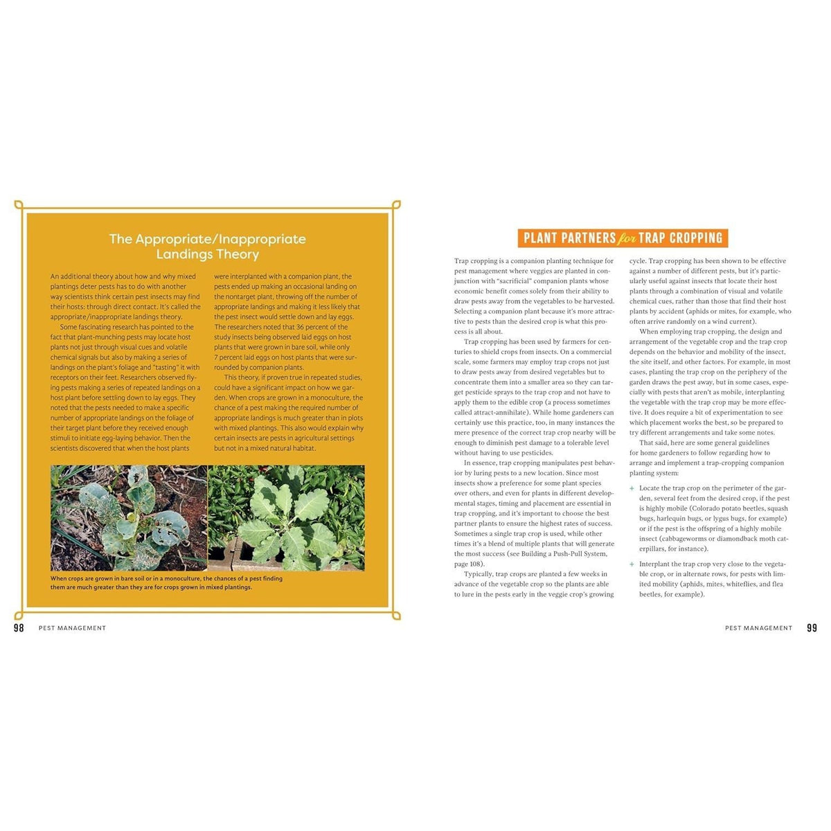 Plant Partners: Science-Based Companion Planting Strategies for the Vegetable Garden (Spiral Bound)