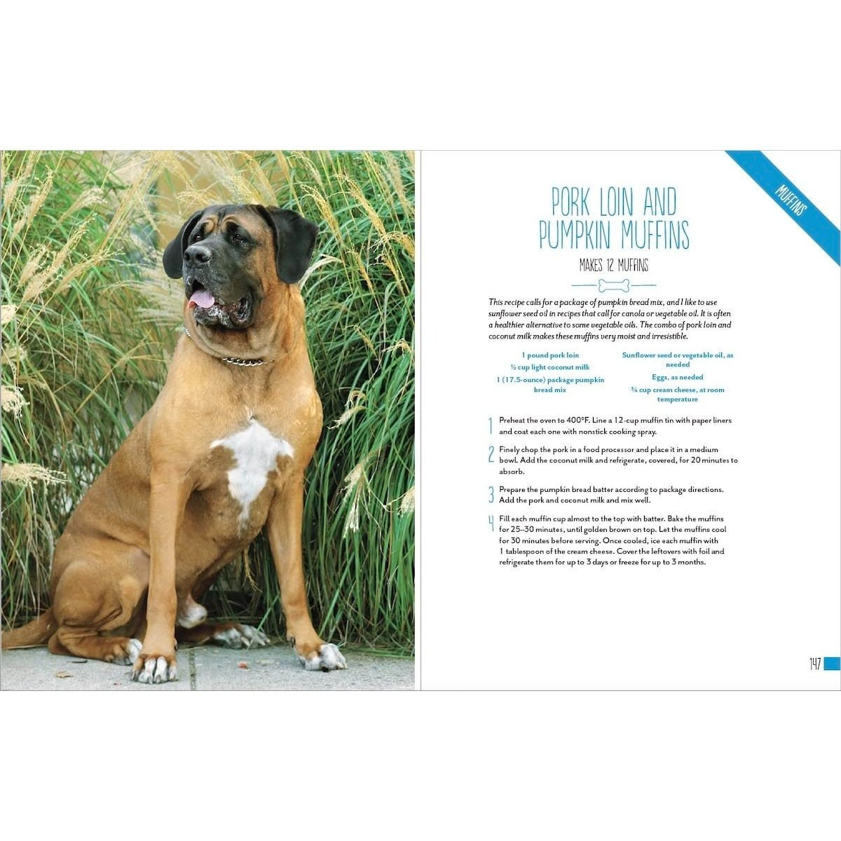 Home Cooking for Your Dog: 75 Holistic Recipes for a Healthier Dog