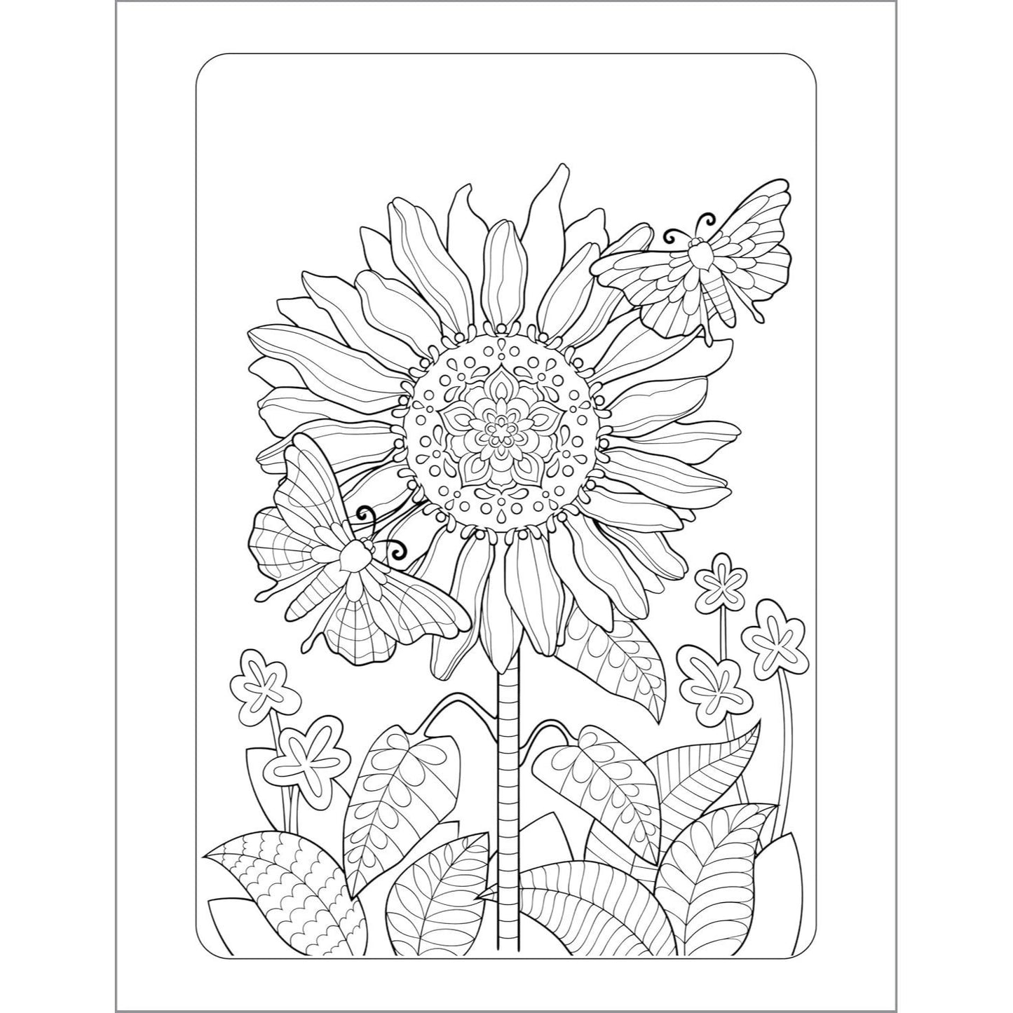 Anxiety Relief Coloring Book for Adults: Mindfulness Coloring to Soothe Anxiety (Spiral Bound)