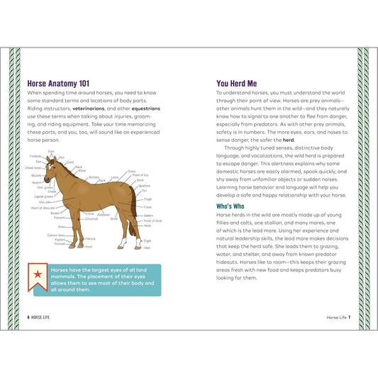 Horse Life: The Ultimate Guide to Caring for and Riding Horses for Kids