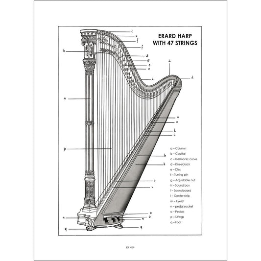 Method for Harp: With 65 Easy & Progressive Little Studies