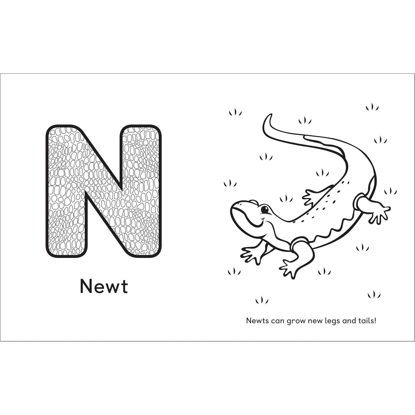 A is for Animals!: Preschool Coloring Book (Spiral Bound)