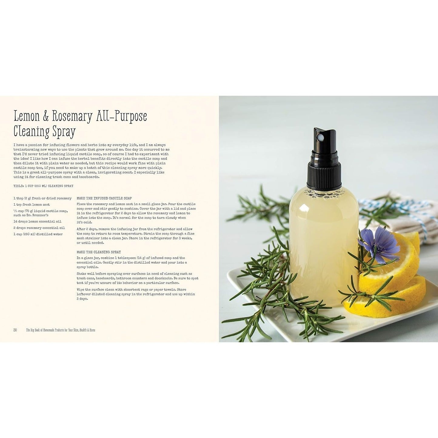The Big Book of Homemade Products for Your Skin, Health and Home: Easy, All-Natural DIY Projects Using Herbs, Flowers and Other Plants