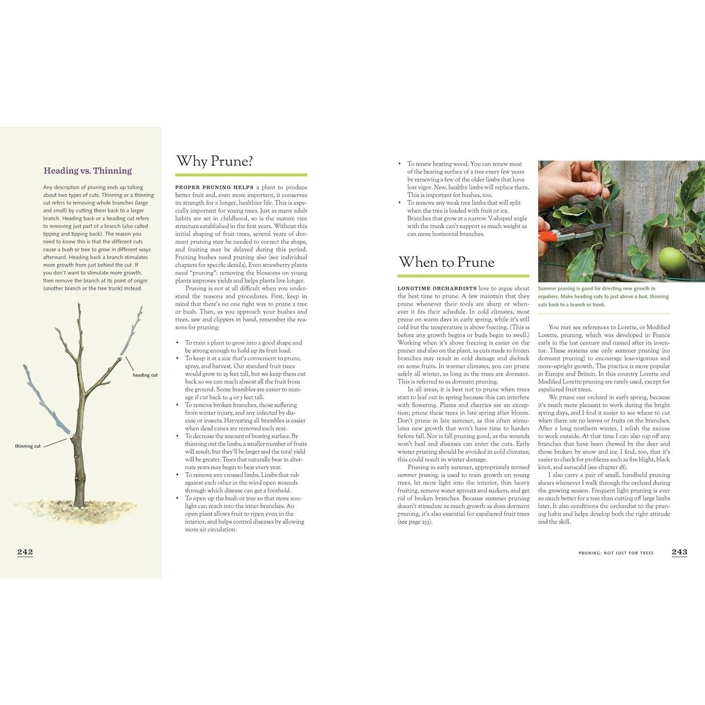 The Fruit Gardener's Bible: A Complete Guide to Growing Fruits and Nuts in the Home Garden (Spiral Bound)