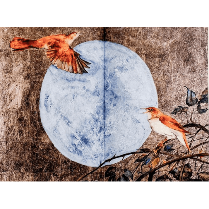 The Book of Birds: A Field Guide to Wonder and Loss