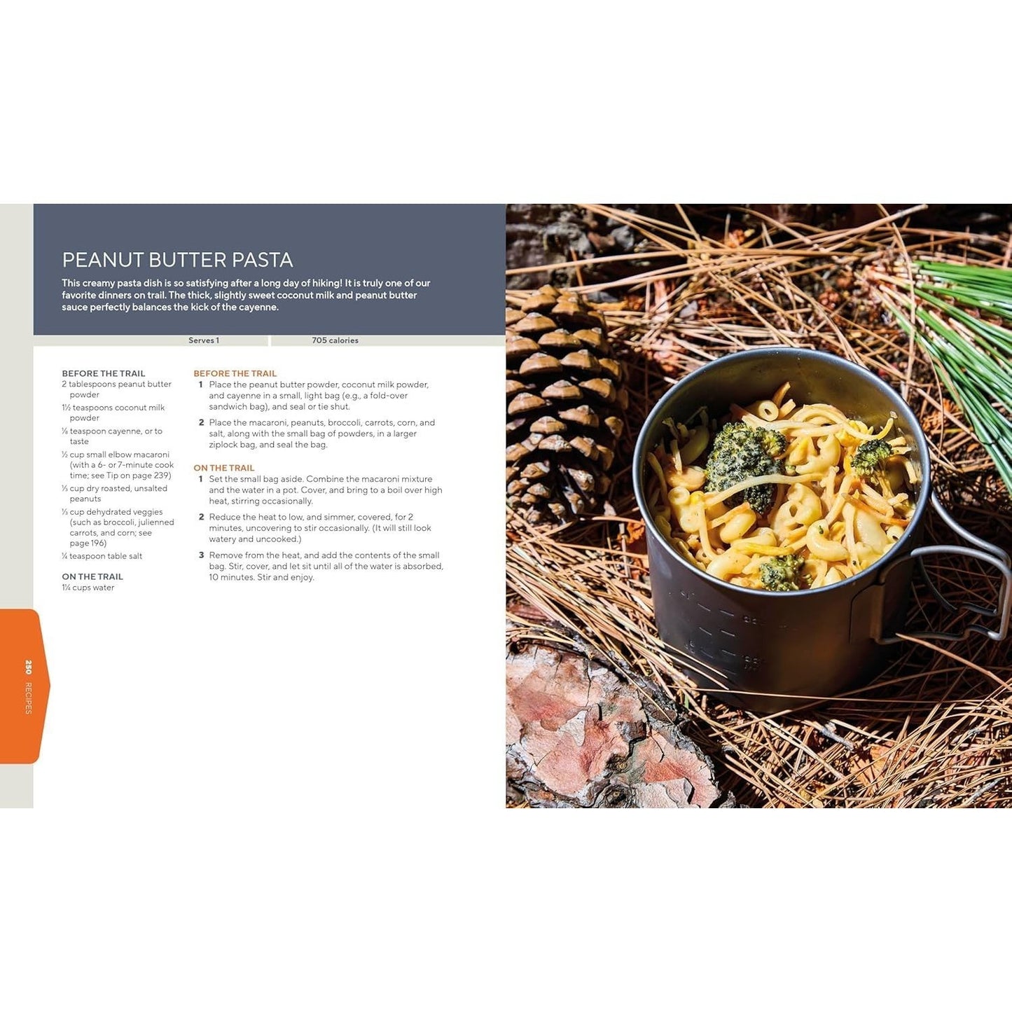 Thruhikers: A Guide to Life on the Trail (Spiral Bound)