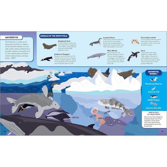 Search the Ocean, Find the Animals