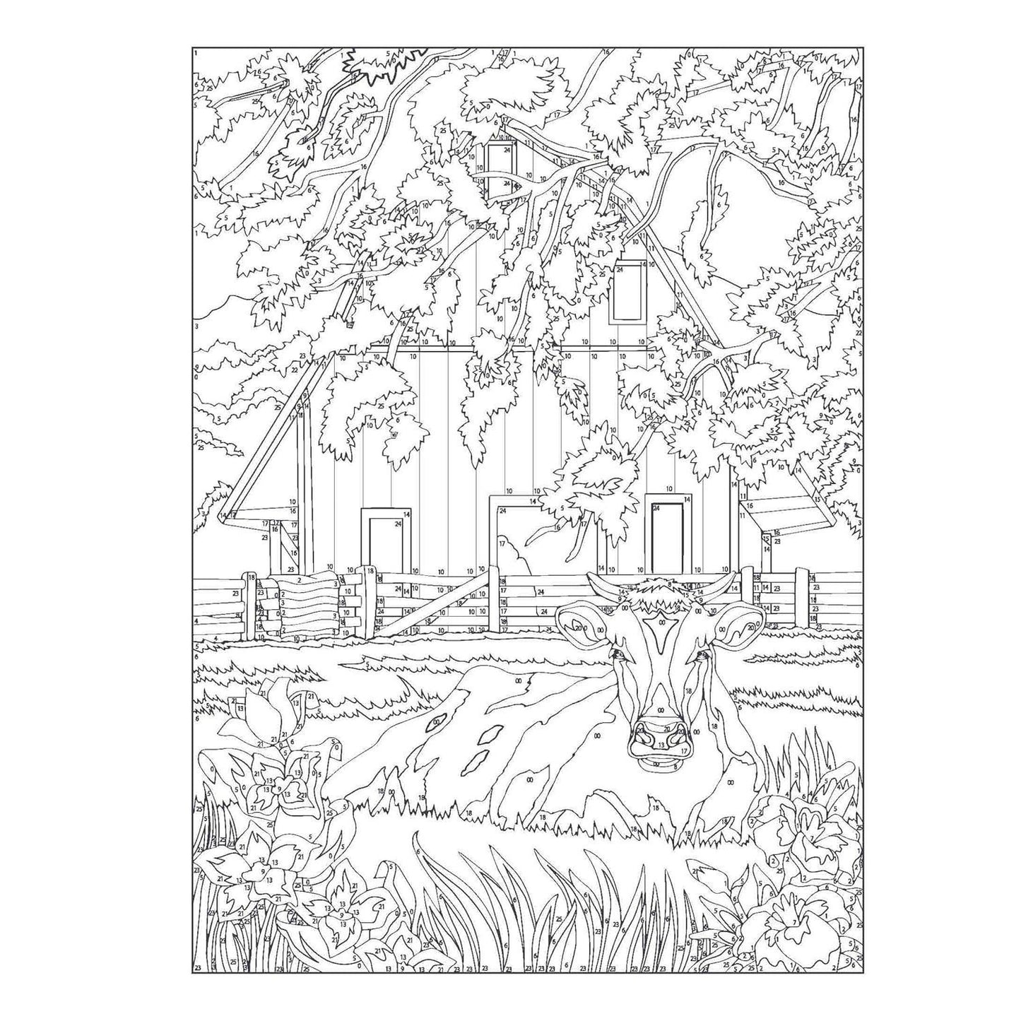 Creative Haven Country Scenes Color by Number Coloring Book