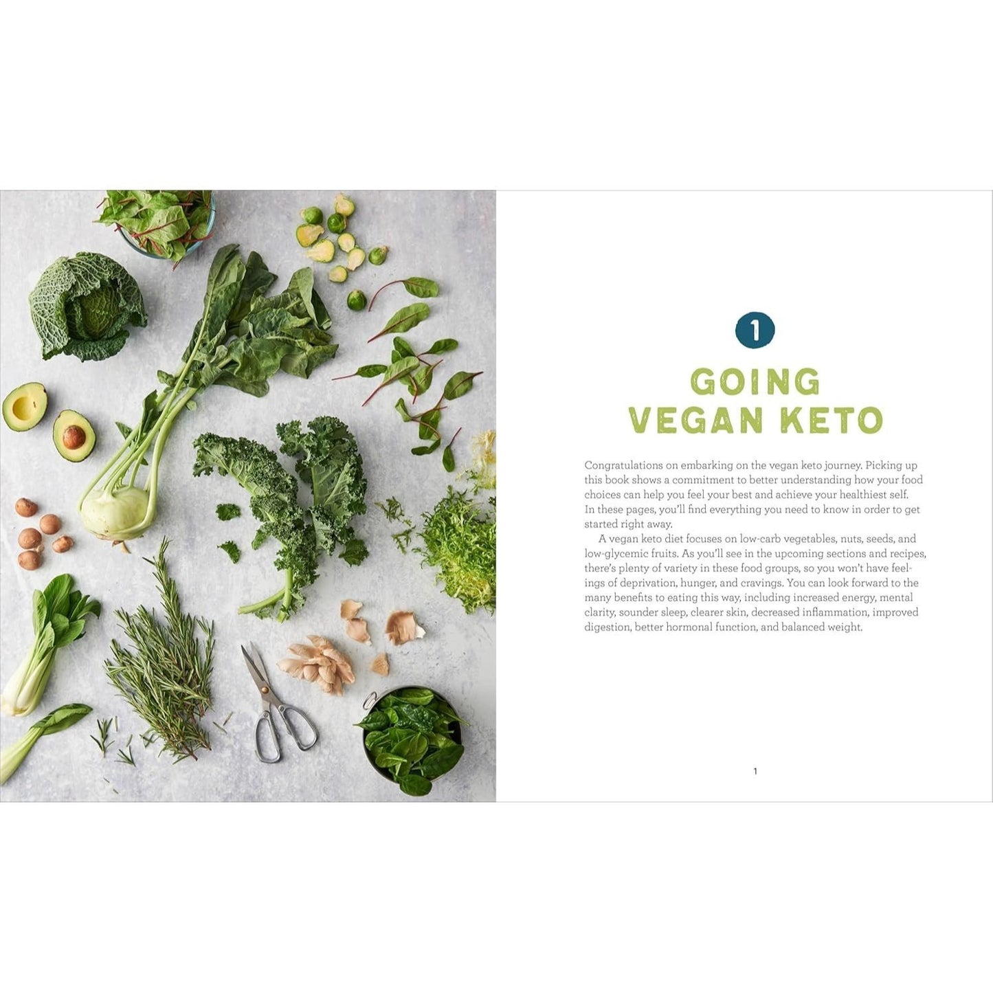 The Vegan Ketogenic Diet Cookbook: 75 Satisfying High Fat, Low Carb, Dairy Free Recipes