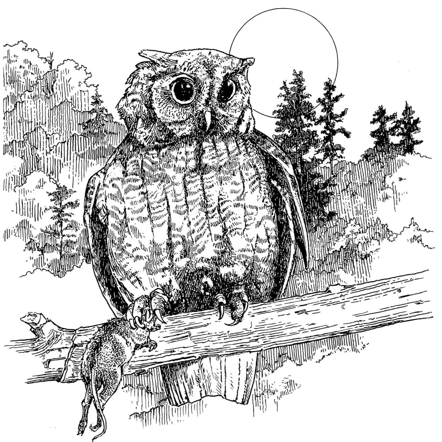 A Walk in the Woods Coloring Book