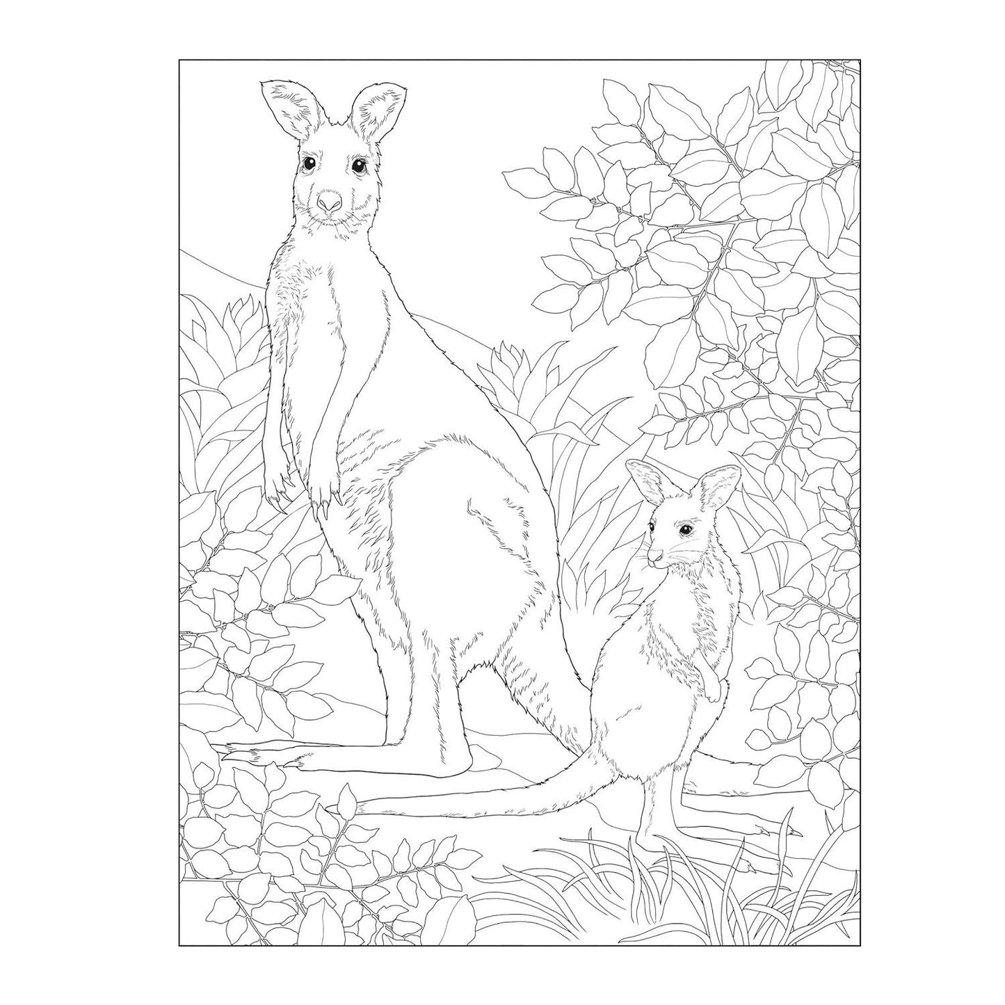 Creative Haven Lovable Baby Animals Coloring Book