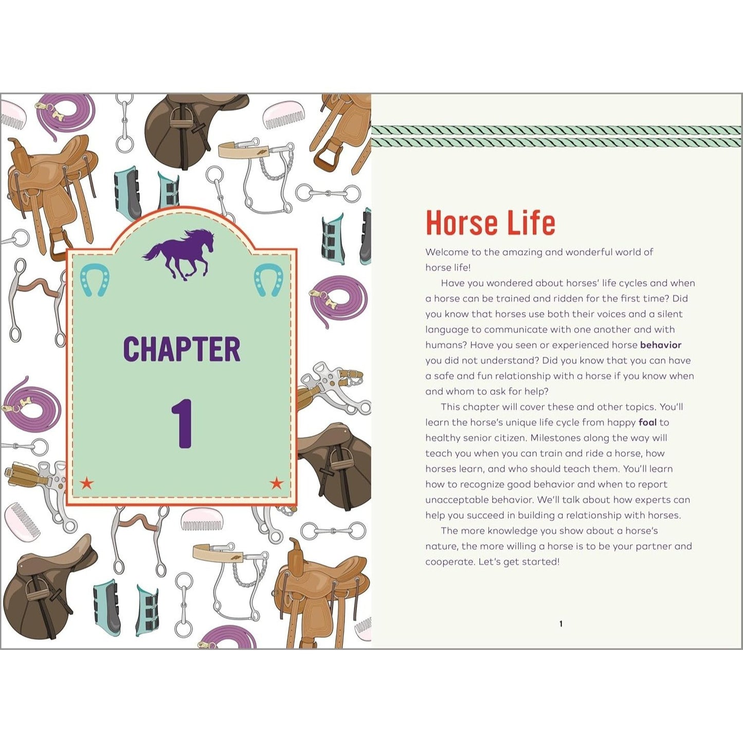 Horse Life: The Ultimate Guide to Caring for and Riding Horses for Kids