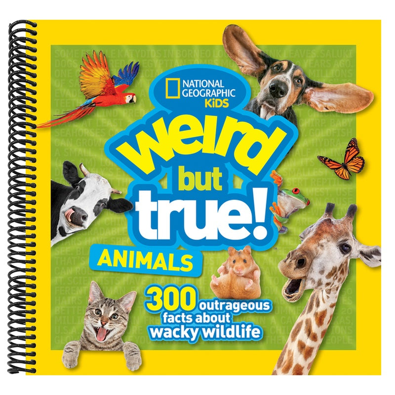 Weird But True! Animals (Weird But True!) (Spiral Bound)
