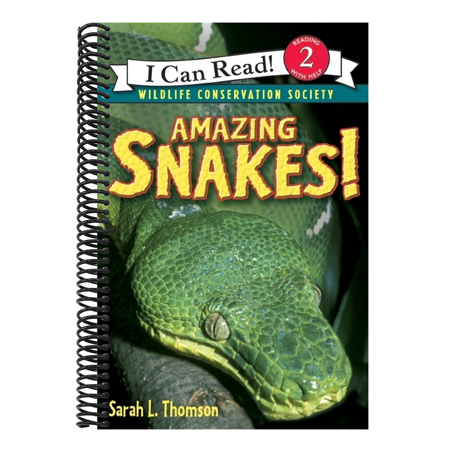 Amazing Snakes!