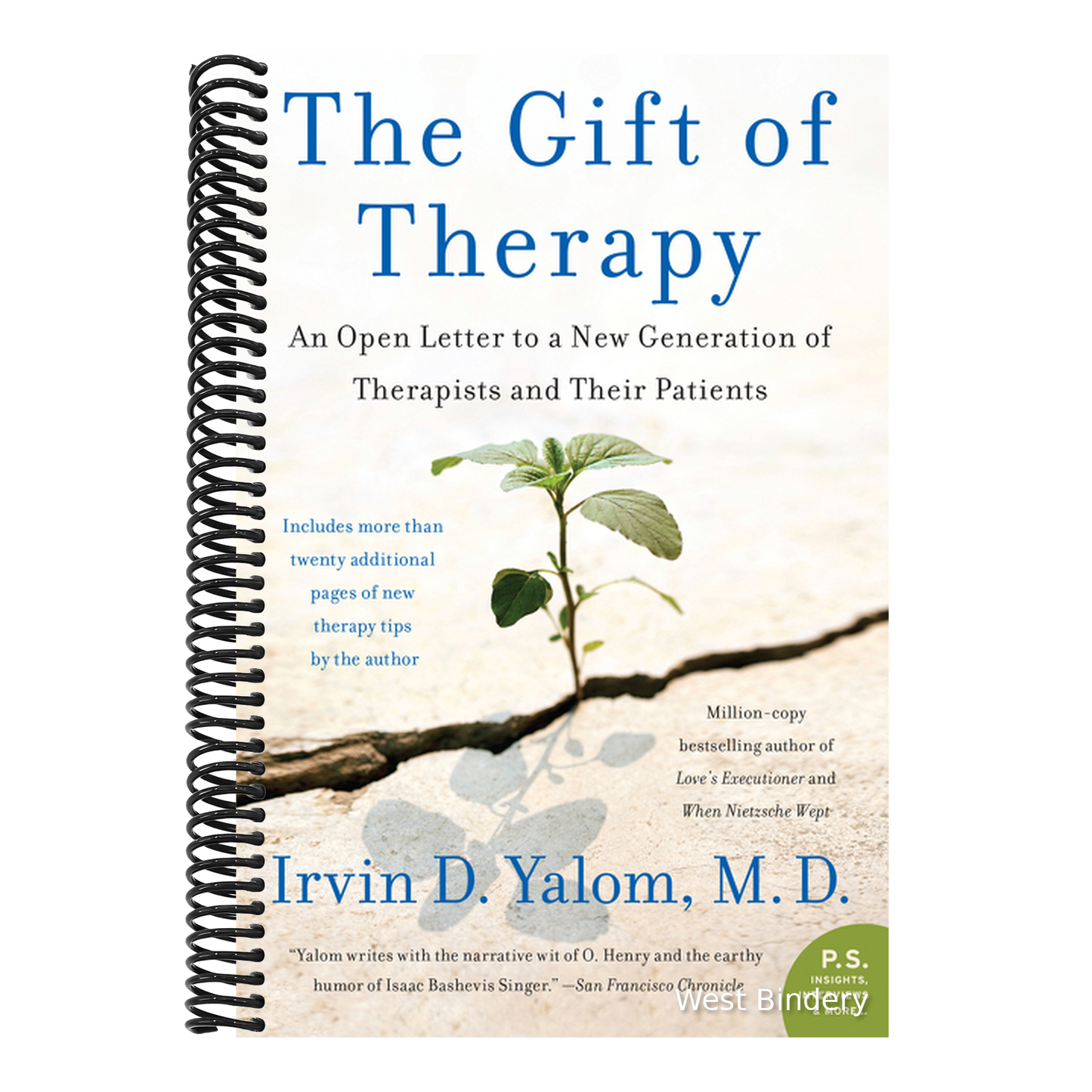 The Gift of Therapy: An Open Letter to a New Generation of Therapists and Their Patients