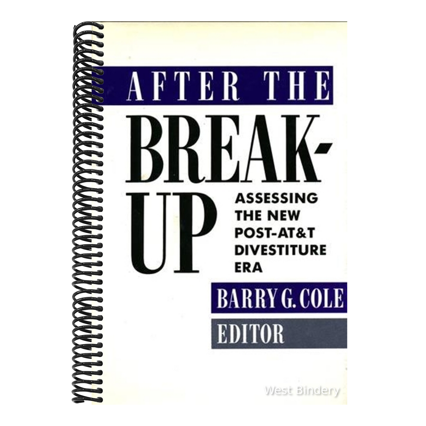 After the Breakup: Assessing the New Post-AT&T Divestiture Era