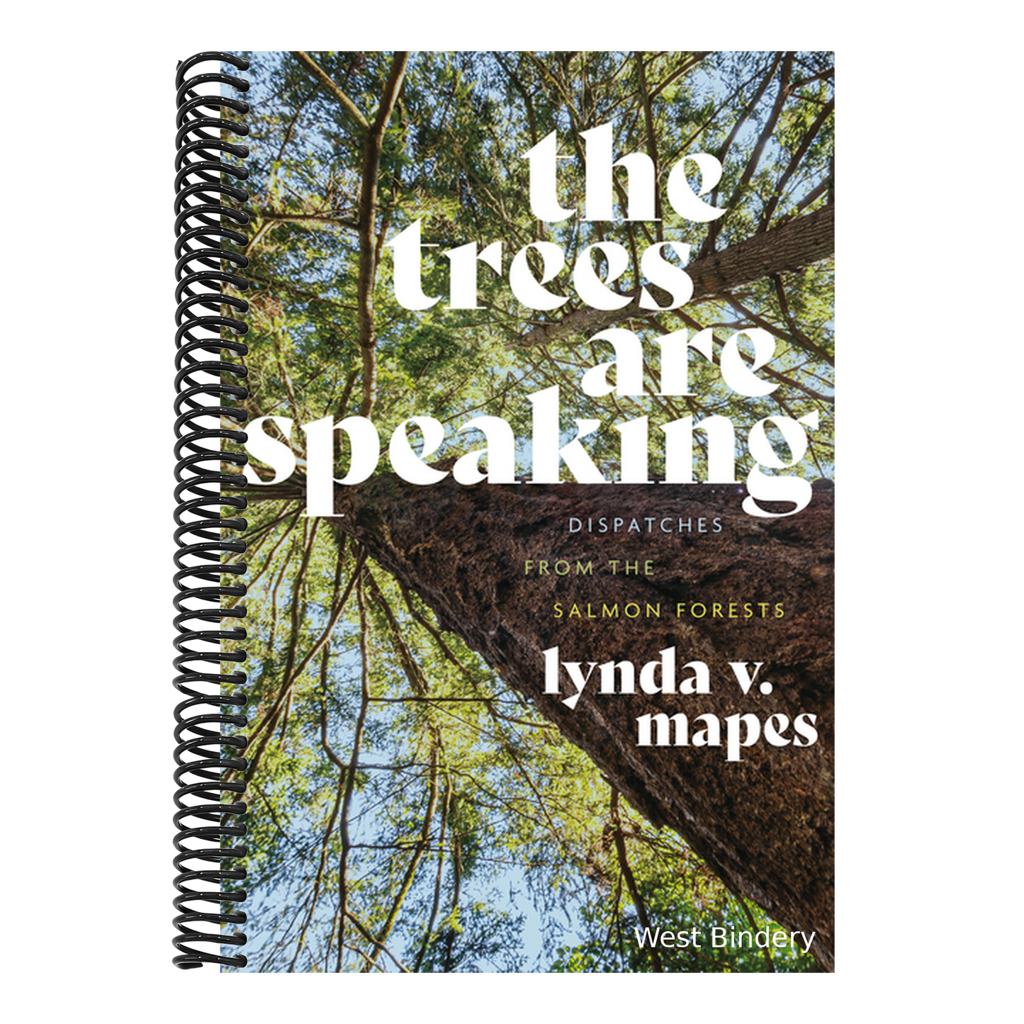 The Trees Are Speaking: Dispatches from the Salmon Forests