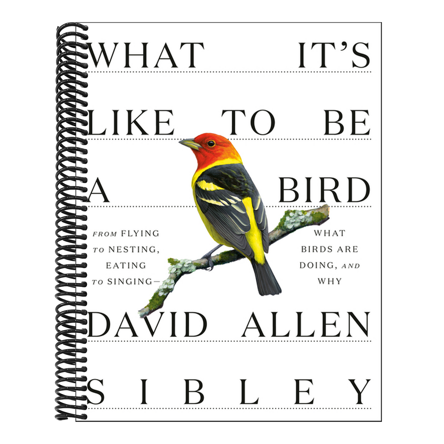 What It's Like to Be a Bird: From Flying to Nesting, Eating to Singing--What Birds Are Doing, and Why (Spiral Bound)