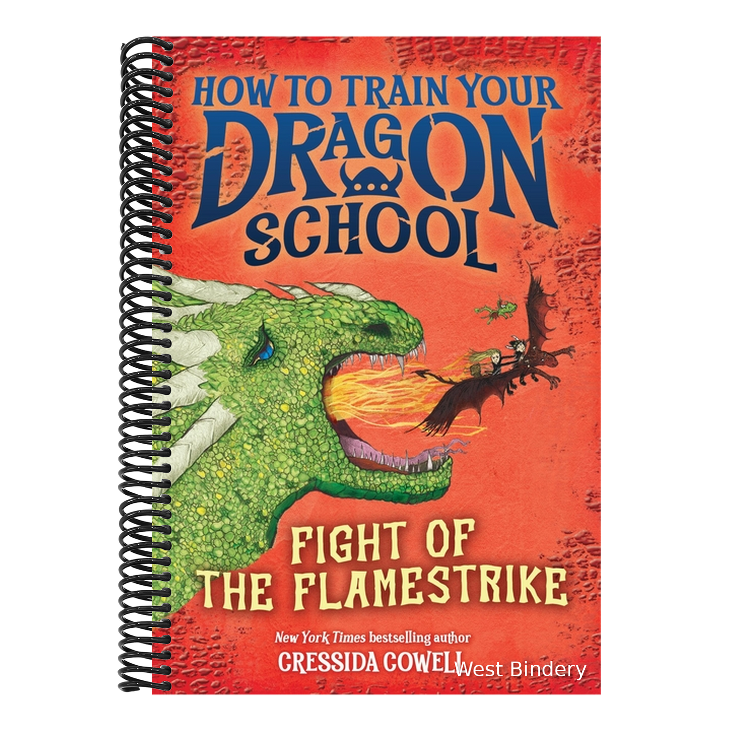 How to Train Your Dragon School: Fight of the Flamestrike