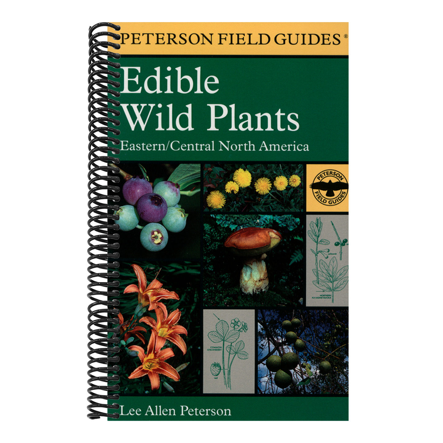 A Peterson Field Guide to Edible Wild Plants: Eastern and Central North America (Peterson Field Guides) (Spiral Bound)