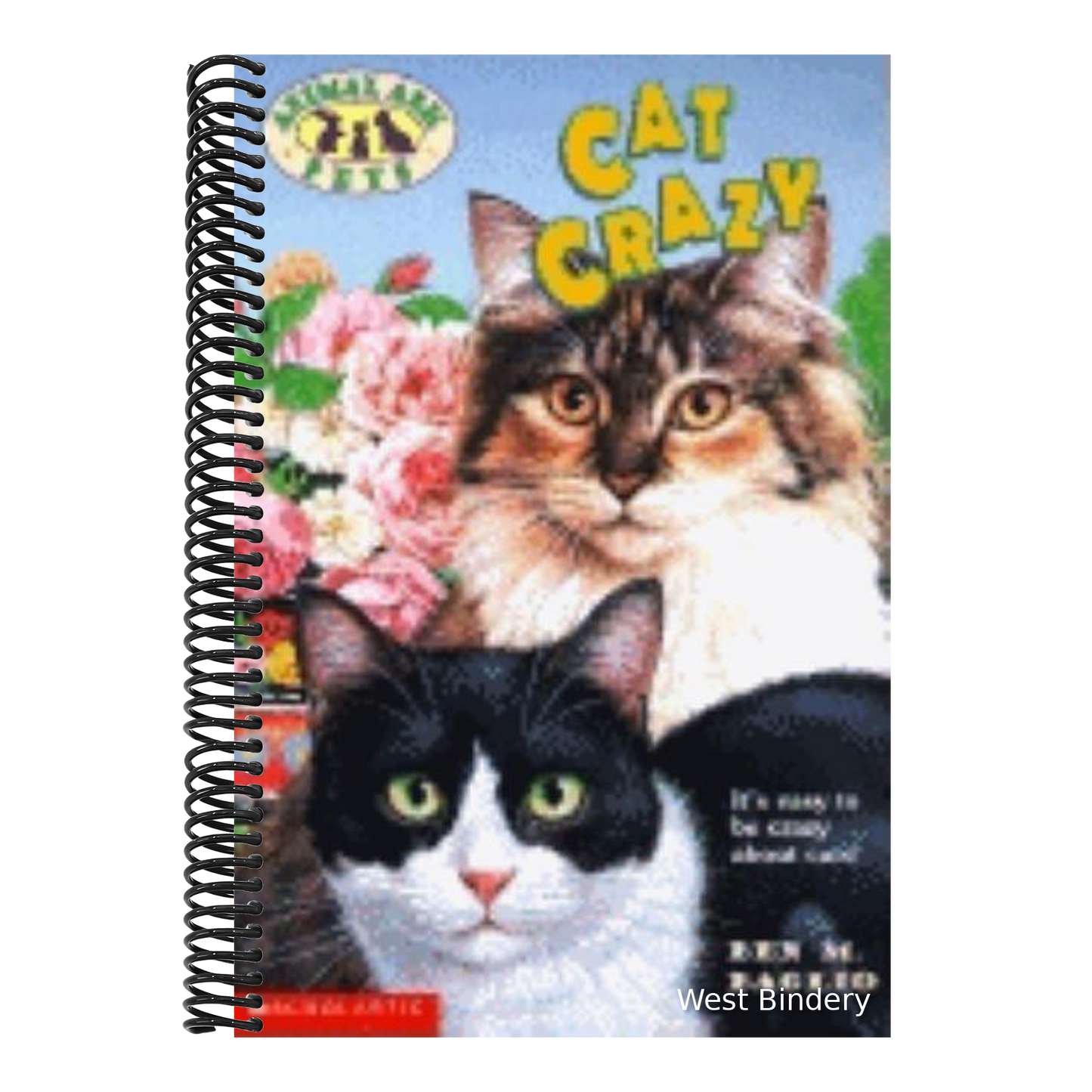Cat Crazy